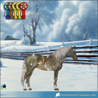 Horse Color:White Spotted Silver Buckskin Tobiano Rabicano