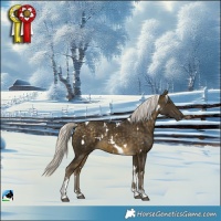 Horse Color:White Spotted Silver Buckskin Tobiano Rabicano 