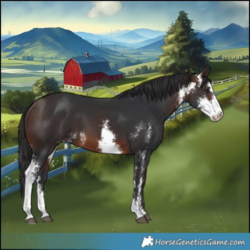 Horse Color:Brown Sabino 
