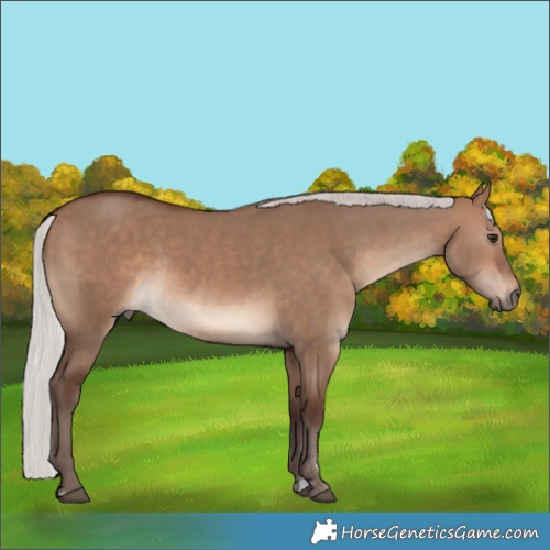 Horse Color:Silver Brown Dun