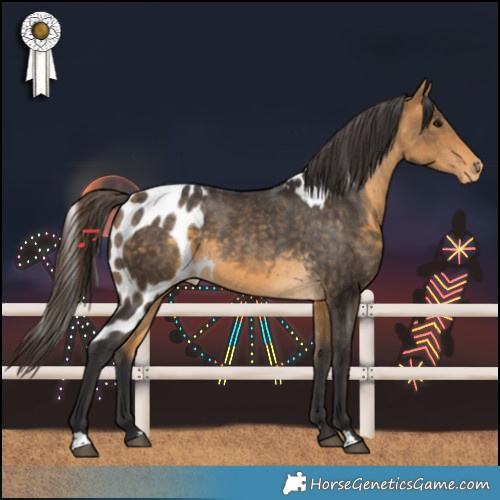 Horse Color:Buckskin Skewed LP Spotted 