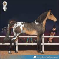 Horse Color:Buckskin Skewed LP Spotted 