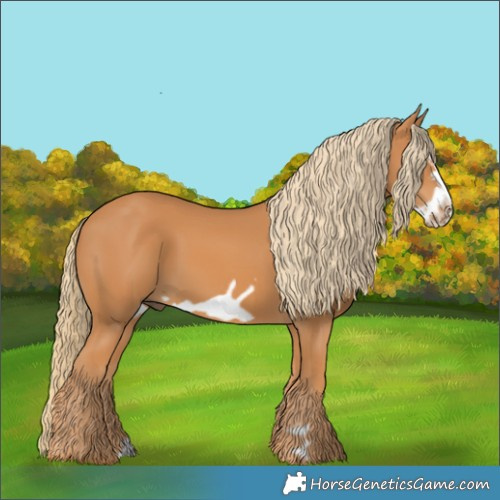 Horse Color:Chestnut Frame