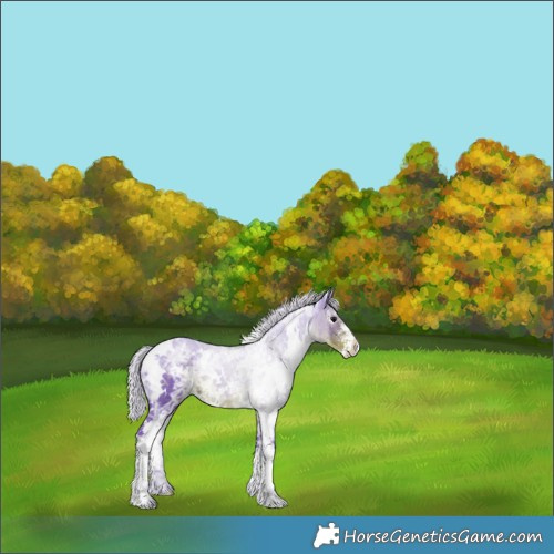 Horse Color:Watercolor White Spotted Silver Smoky Black Ice Sabino 