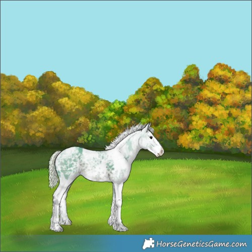 Horse Color:Watercolor White Spotted Silver Black Ice Sabino