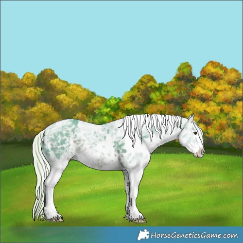 Horse Color:Watercolor White Spotted Silver Black Ice Sabino 