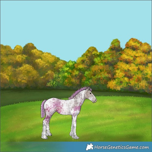 Horse Color:Painted White Spotted Silver Black Ice Tobiano