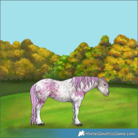 Horse Color:Painted White Spotted Silver Black Ice Tobiano 
