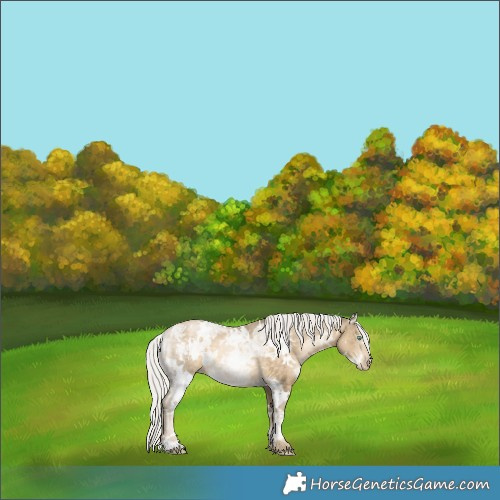 Horse Color:White Spotted Silver Buckskin Ice Pearl 