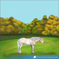 Horse Color:White Spotted Silver Buckskin Ice Pearl 