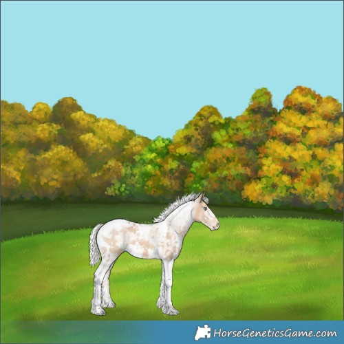 Horse Color:White Spotted Silver Smoky Creme Ice Tobiano 