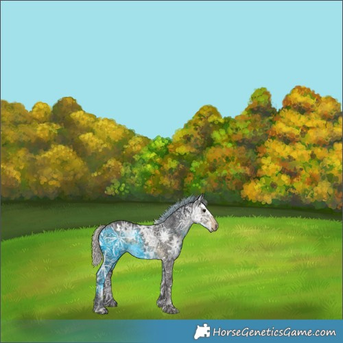 Horse Color:White Spotted Silver Smoky Black Ice 