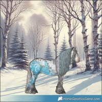 Horse Color:White Spotted Silver Smoky Black Ice 