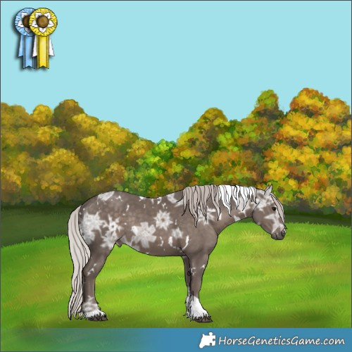 Horse Color:White Spotted Silver Black Ice Tobiano Rabicano 