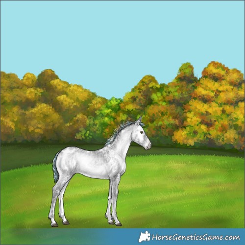 Horse Color:Painted White Spotted Silver Blue Onyx Chinchilla Ice