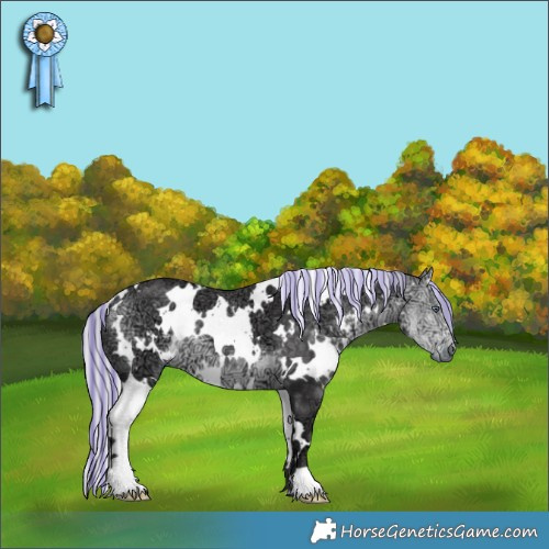 Horse Color:Painted White Spotted Silver Buckskin Chinchilla Ice 