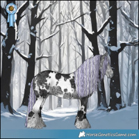 Horse Color:Painted White Spotted Silver Buckskin Chinchilla Ice 