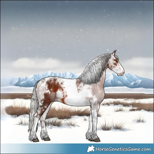 Horse Color:White Spotted Silver Brown Ice Tobiano Frame 