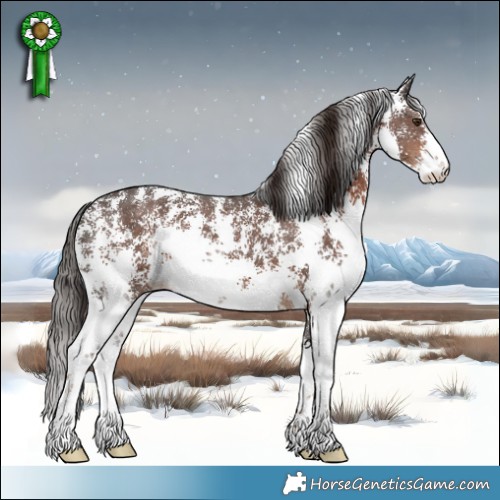 Horse Color:Liver Chestnut Sabino 