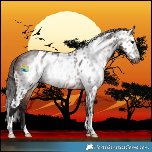 Horse Color:Gray Bay Skewed LP Spotted 