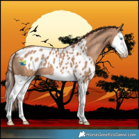 Horse Color:Red Dun Splash Skewed LP Spotted