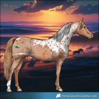 Horse Color:Chestnut Skewed LP Spotted