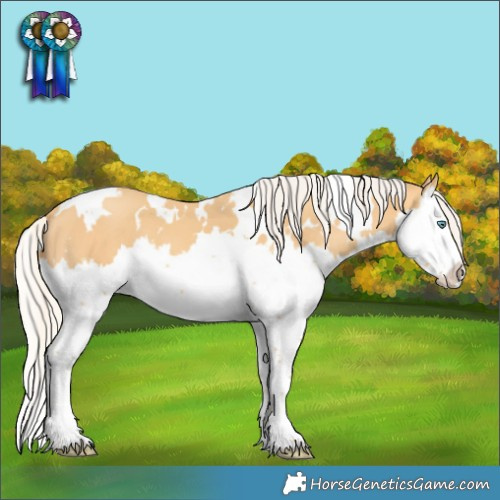 Horse Color:White Spotted Silver Amber Cream Champagne Splash 