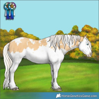 Horse Color:White Spotted Silver Amber Cream Champagne Splash