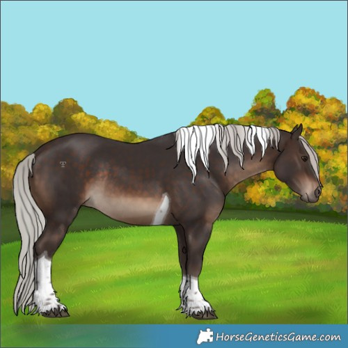 Horse Color:Silver Brown Tobiano Rabicano 