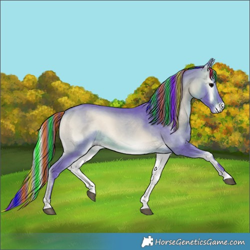 Horse Color:Painted Watercolor Bay Onyx