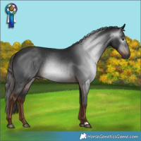 Horse Color:Gray Liver Chestnut
