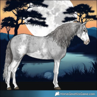 Horse Color:White Spotted Blue Roan Splash Frame Varnish 