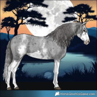 Horse Color:White Spotted Blue Roan Splash Frame Appaloosa 