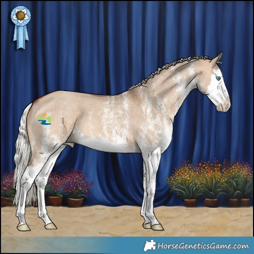 Horse Color:White Spotted Silver Brown Dun Splash 