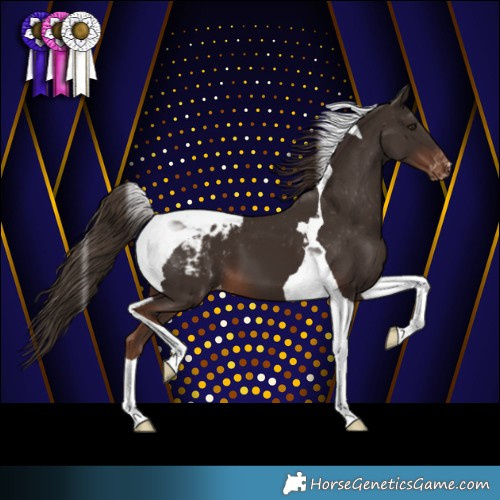 Horse Color:Liver Chestnut Tobiano Varnish