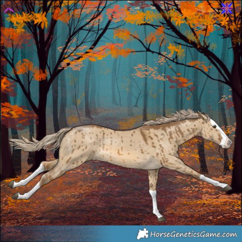 Horse Color:Chocolate Palomino Dun Splash Brindle 