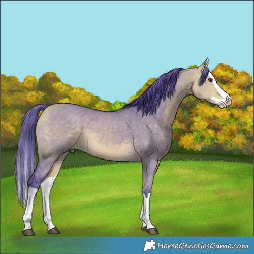 Horse Color:Watercolor Buckskin Dun Splash 