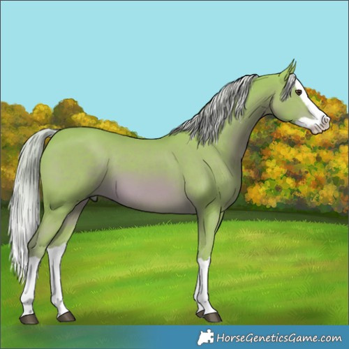 Horse Color:Watercolor Chestnut Splash 