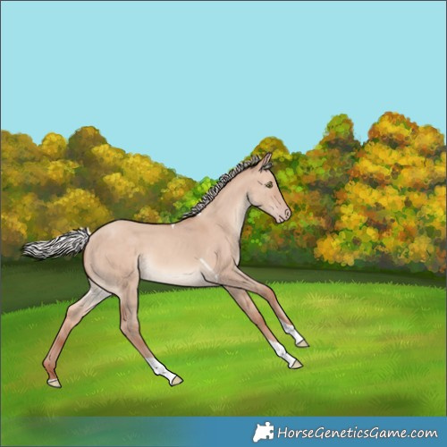 Horse Color:Silver Sable Champagne Dun Tobiano 