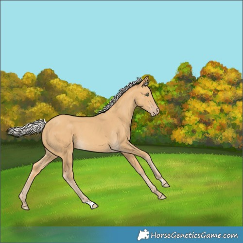 Horse Color:Silver Sable Cream Champagne