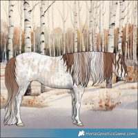 Horse Color:Amber Champagne Dun Sabino Tobiano Blanket  and Amber Champagne Dun Sabino Tobiano Blanket 