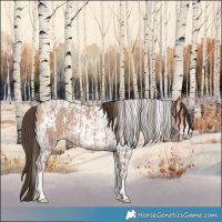 Horse Color:Amber Champagne Sabino Tobiano Varnish  and Amber Champagne Sabino Tobiano Varnish 