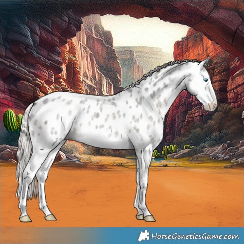 Horse Color:Silver Smoky Blue Ice Roan Splash Near Leopard 