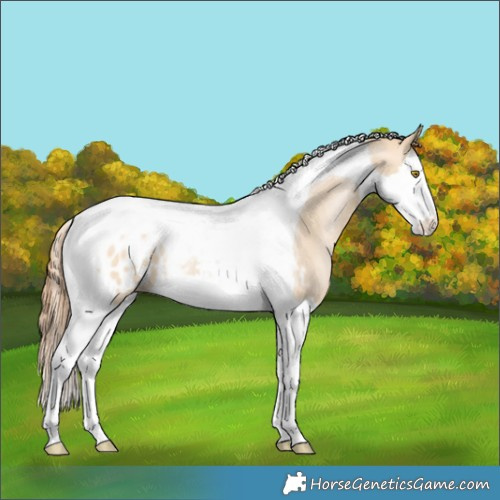 Horse Color:Bay Pearl Dun Splash Tobiano Blanket 