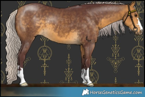 Horse Color:Chocolate Silver Buckskin 