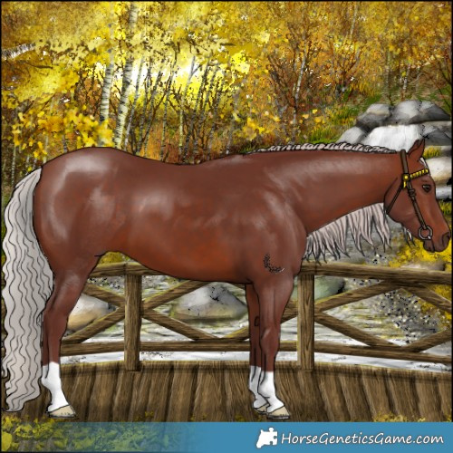 Horse Color:Chocolate Silver Brown 