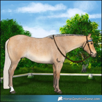 Horse Color:Chocolate Silver Buckskin Roan 