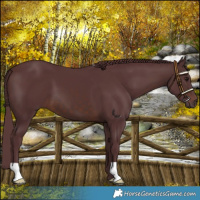 Horse Color:Chocolate Brown