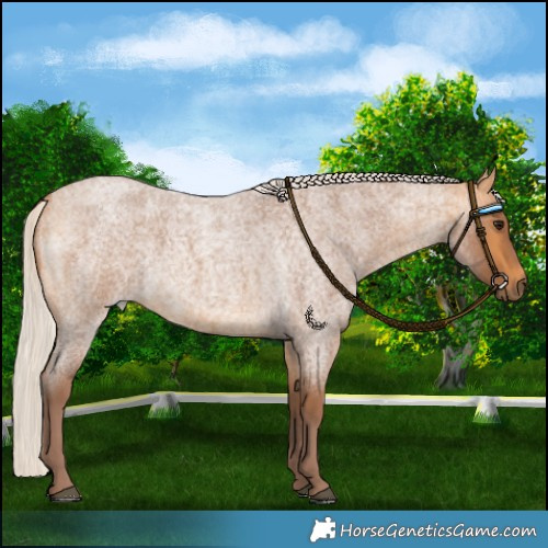 Horse Color:Chocolate Silver Buckskin Roan 
