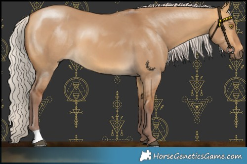 Horse Color:Chocolate Silver Buckskin Dun 